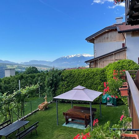 Agriturismo La Canonica 布雷斯 外观 照片