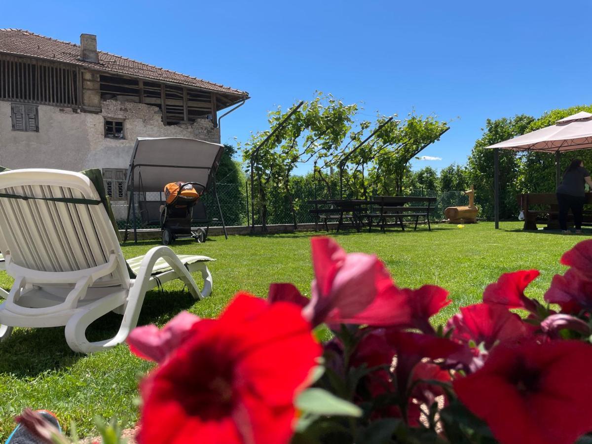 Agriturismo La Canonica 布雷斯 外观 照片