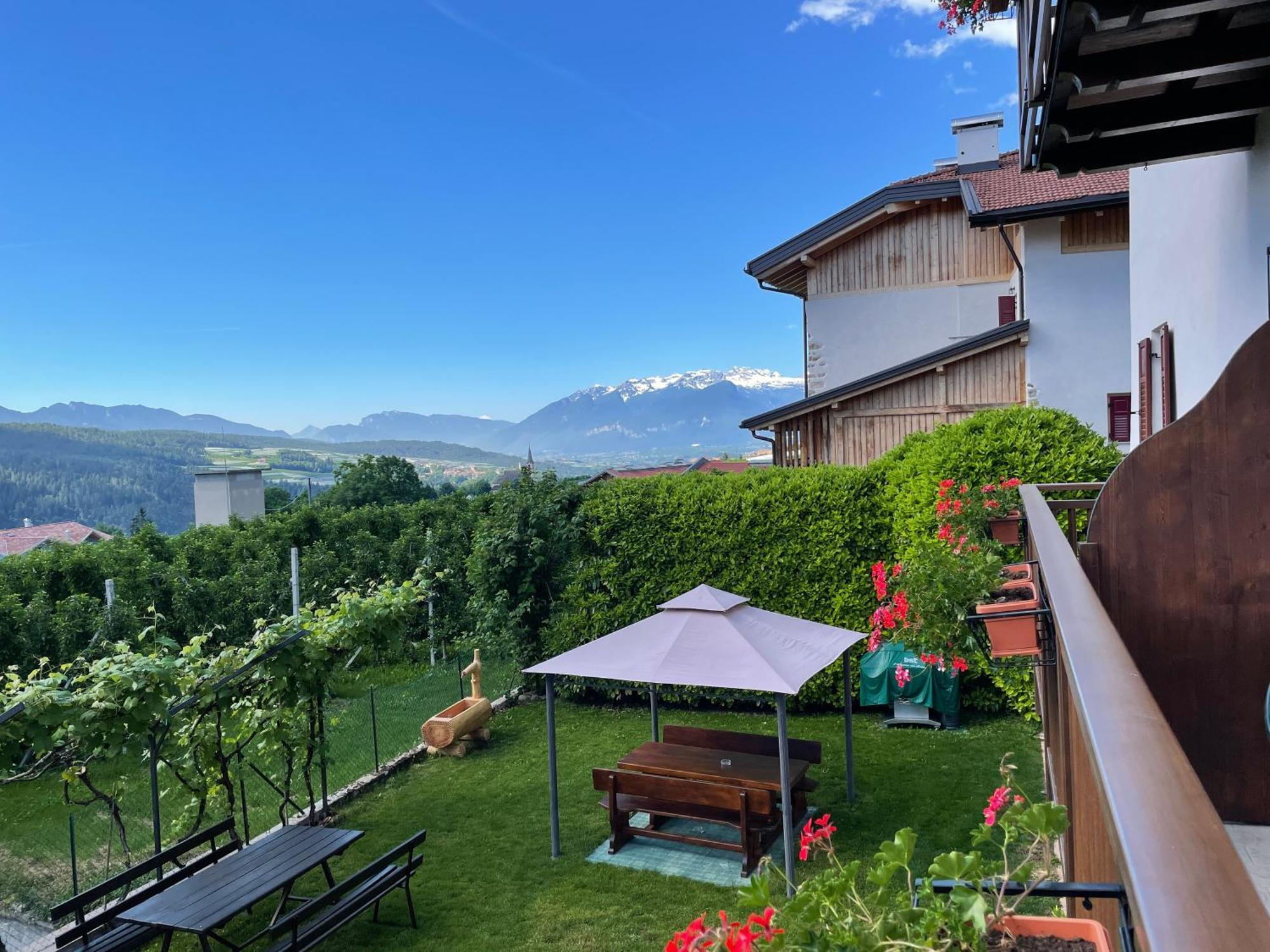 Agriturismo La Canonica 布雷斯 外观 照片