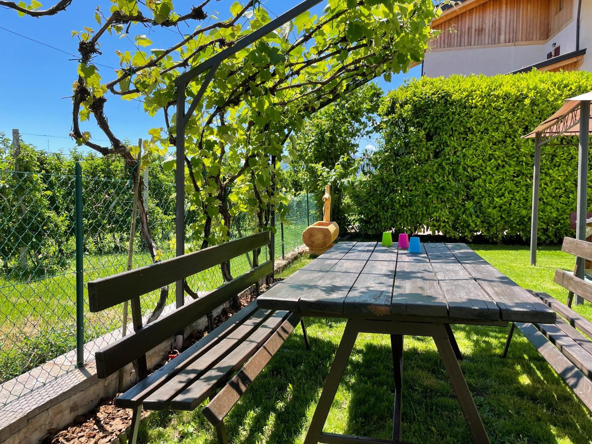 Agriturismo La Canonica 布雷斯 外观 照片